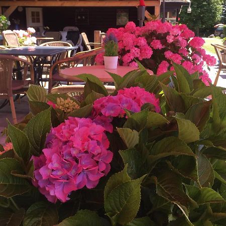 Boerderijcamping Plantlust Veere Zewnętrze zdjęcie