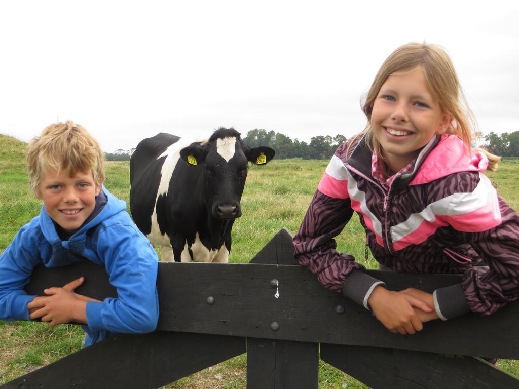 Boerderijcamping Plantlust Veere Zewnętrze zdjęcie