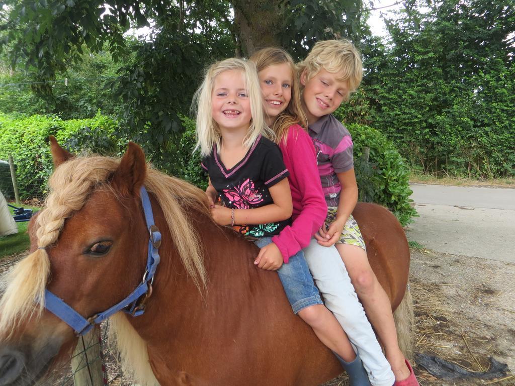 Boerderijcamping Plantlust Veere Pokój zdjęcie