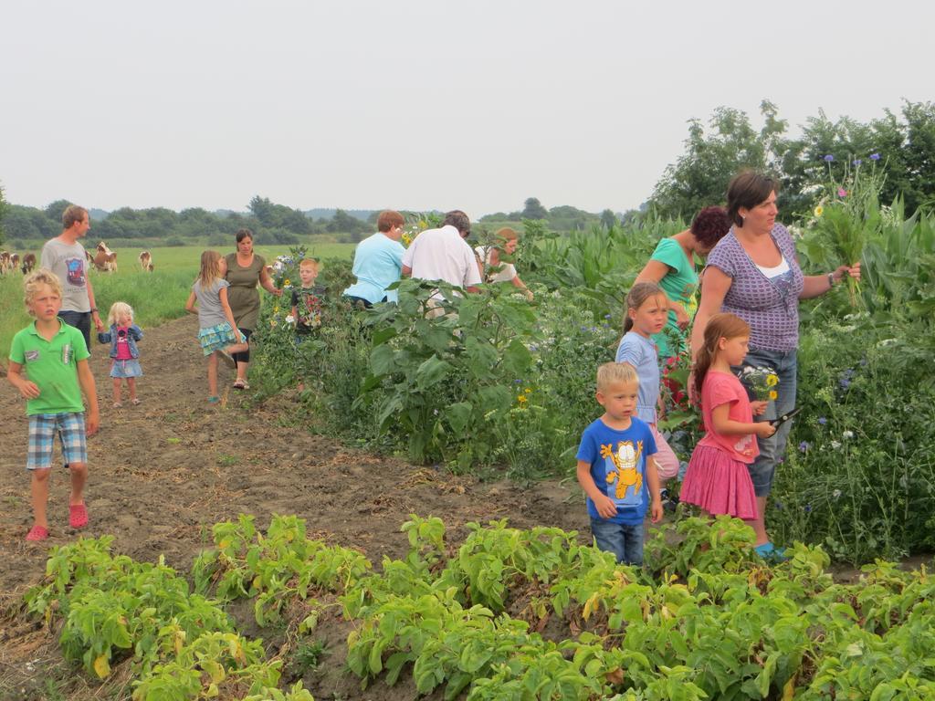 Boerderijcamping Plantlust Veere Pokój zdjęcie