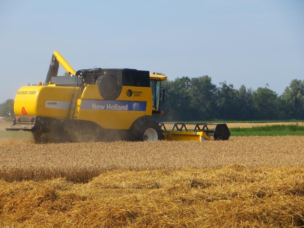 Boerderijcamping Plantlust Veere Pokój zdjęcie