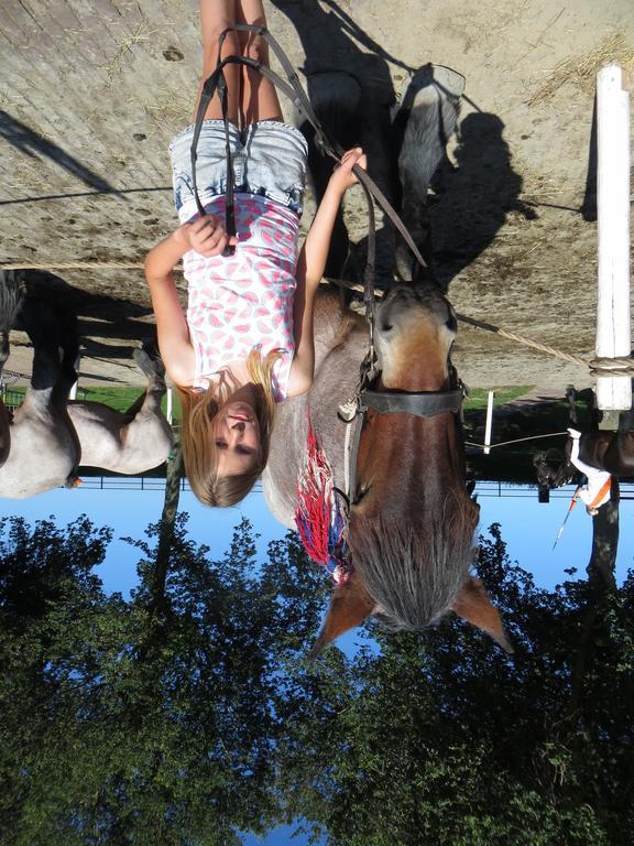 Boerderijcamping Plantlust Veere Zewnętrze zdjęcie